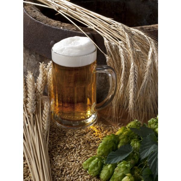 Résultat de recherche d'images pour "Deuxième ville du Bas-Rhin connue pour sa fête de la bière"