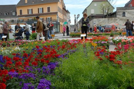 Des centaines de fleur à Altkirch !