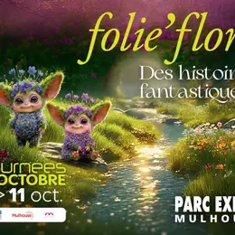 1 000 m³ de sable, 13 000 m² de jardins, 320 exposants : les chiffres fous des Journées d'Octobre à Mulhouse