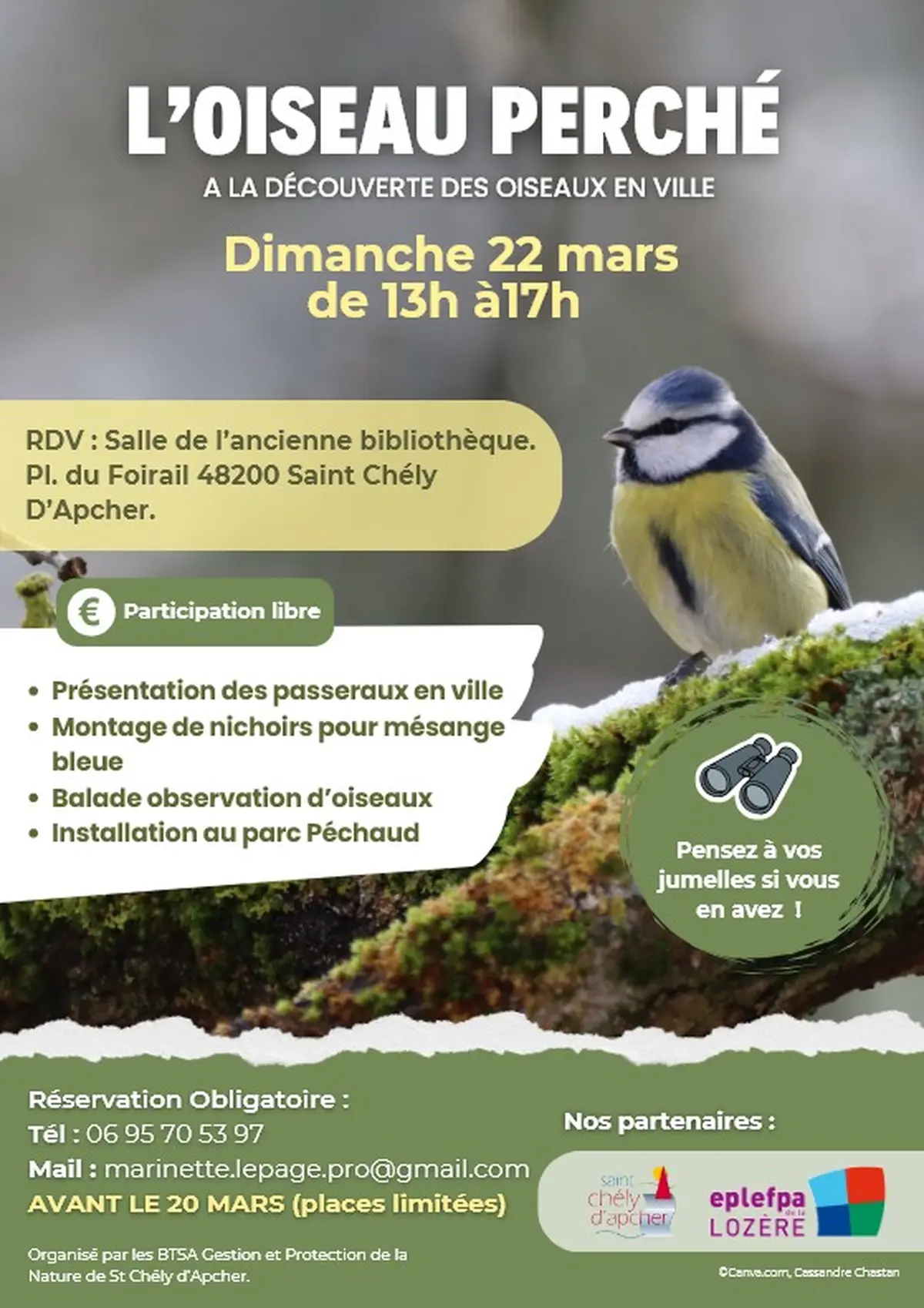 𝐋'𝐎𝐈𝐒𝐄𝐀𝐔 𝐏𝐄𝐑𝐂𝐇𝐄