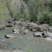 Conférence : les clefs naturelles pour soutenir votre système lymphatique