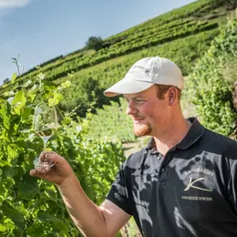 De la vigne au verre - secret du vin d'Alsace au domaine Alphonse Heitzmann