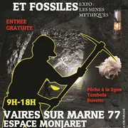 Bourse Minéraux et Fossiles de Vaires-sur-Marne 77360 (29ème)