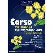 Corso du Mimosa 2026 à Cavalaire-sur-Mer