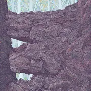 Le Mur