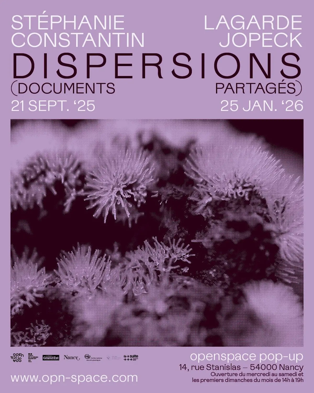 Dispersions - Stéphanie Lagarde et Constantin Jopeck