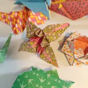 Petits papiers les pieds dans l'eau