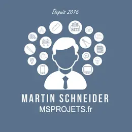 MS Projets