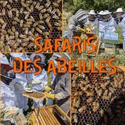 Safari des Abeilles - Mars