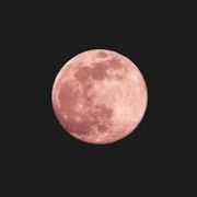 Cercle de Femme - Pleine Lune 6 Avril 2023 à 19h00