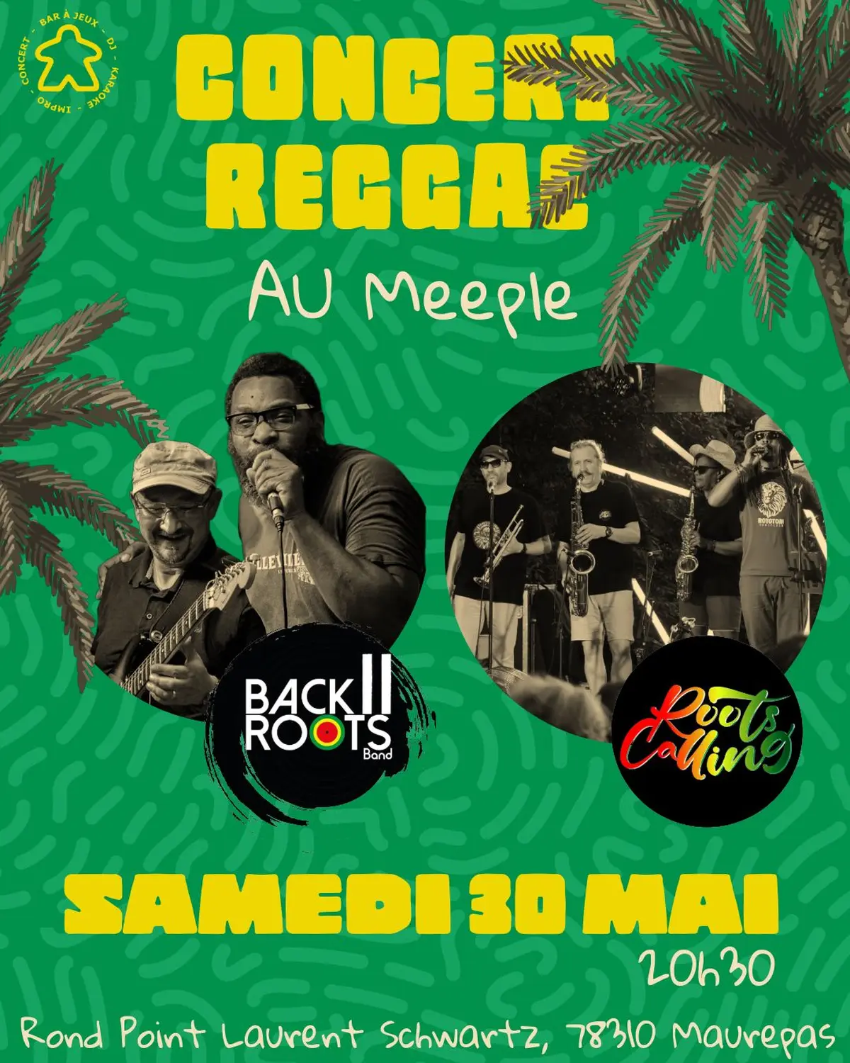Concert Reggae au Meeple