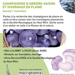Champignons d'arrière-saison et hivernaux en plaine