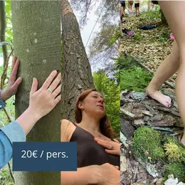 ATELIERS NATURE ADULTES A la rencontre des arbres, à la rencontre de soi