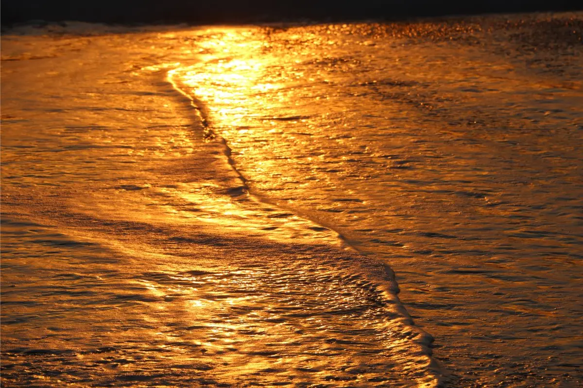 Vernissage exposition photos : Au bord du monde, doucement