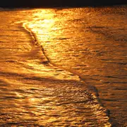 Vernissage exposition photos : Au bord du monde, doucement