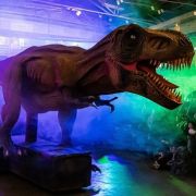 Le Musée Ephémère: les dinosaures arrivent à La Ciotat