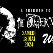 The Other Voices, tribute The Cure chez Wood Stock Guitares