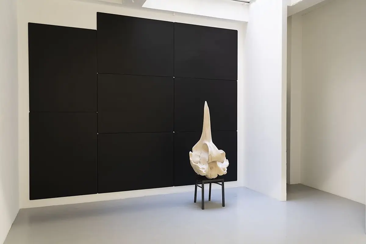 Conférence de l'artiste Vincent Chevillon