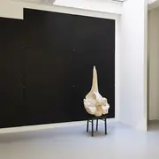 Conférence de l'artiste Vincent Chevillon