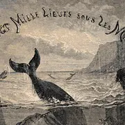 Jules Verne et la mer