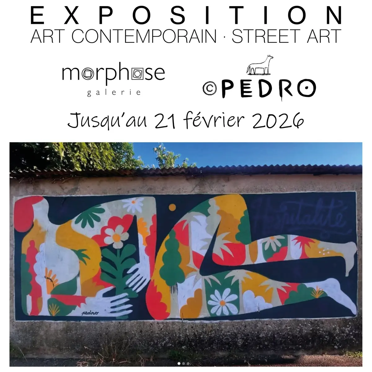 PEDRO | Exposition | Art contemporain | Street art | Galerie Morphose