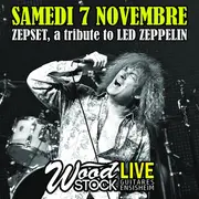 Zepset, a tribute to Led Zeppelin chez Wood Stock Guitares