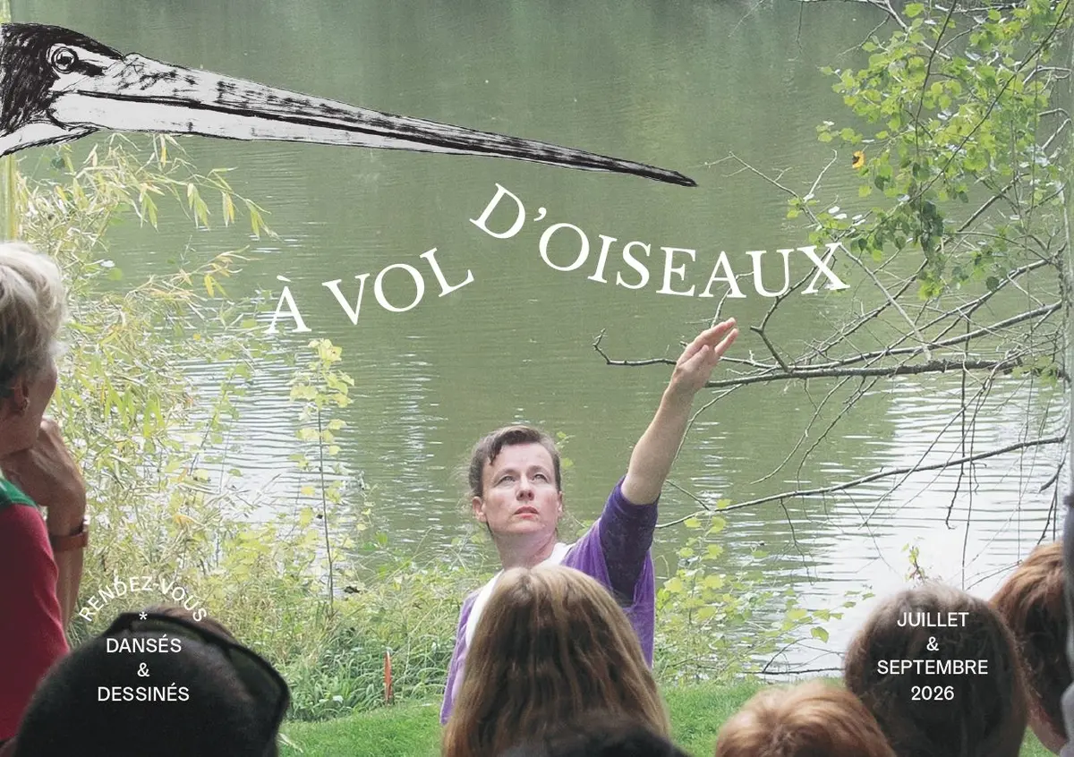A vol d'oiseaux
