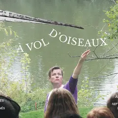 A vol d'oiseaux