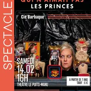 La princesse qui n'aimait pas les princes