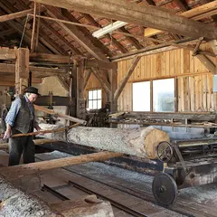 Scierie hydraulique-musée de Mandray