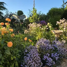Découverte d'un jardin et d'un atelier d'artiste