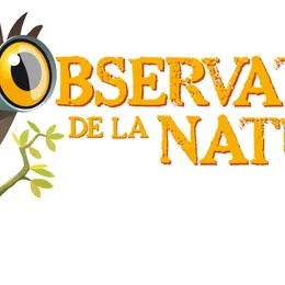 Les petites créatures de nos baignades