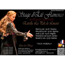 Stage Flamenco Ibérica Seclin Lille El Verano suena flamenco XIème édition