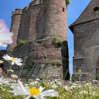 Visite guidée : la faune et la flore du château de Lichtenberg