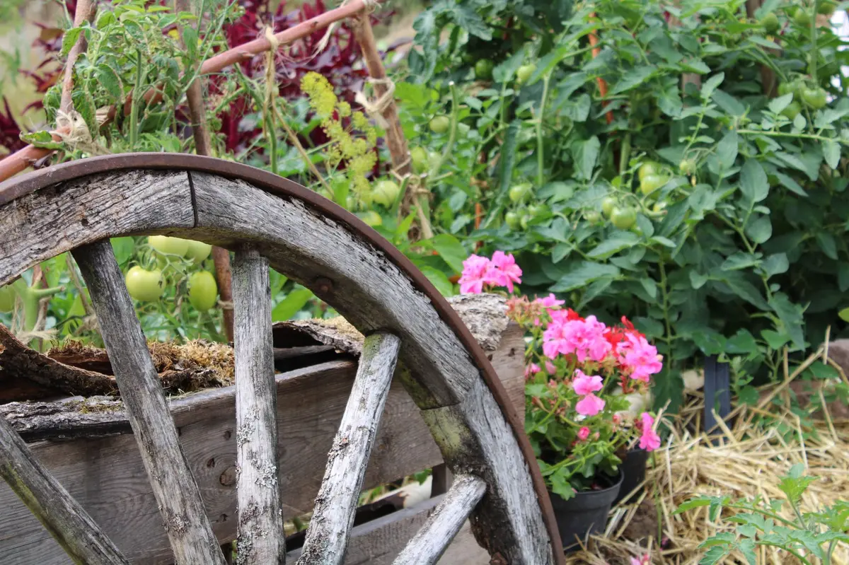 Programme des animations : L'agriculture d'antan