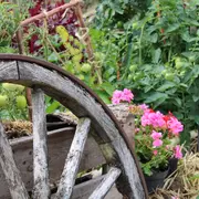 Programme des animations : L'agriculture d'antan