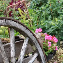 Programme des animations : L'agriculture d'antan