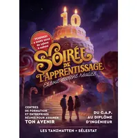 Soirée de l'Apprentissage et de l'Alternance &copy; Arnaud HURST