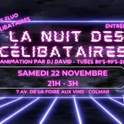 La Nuit des Célibataires DJ Raph 