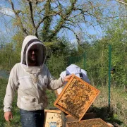 Stage initiation à l\'apiculture