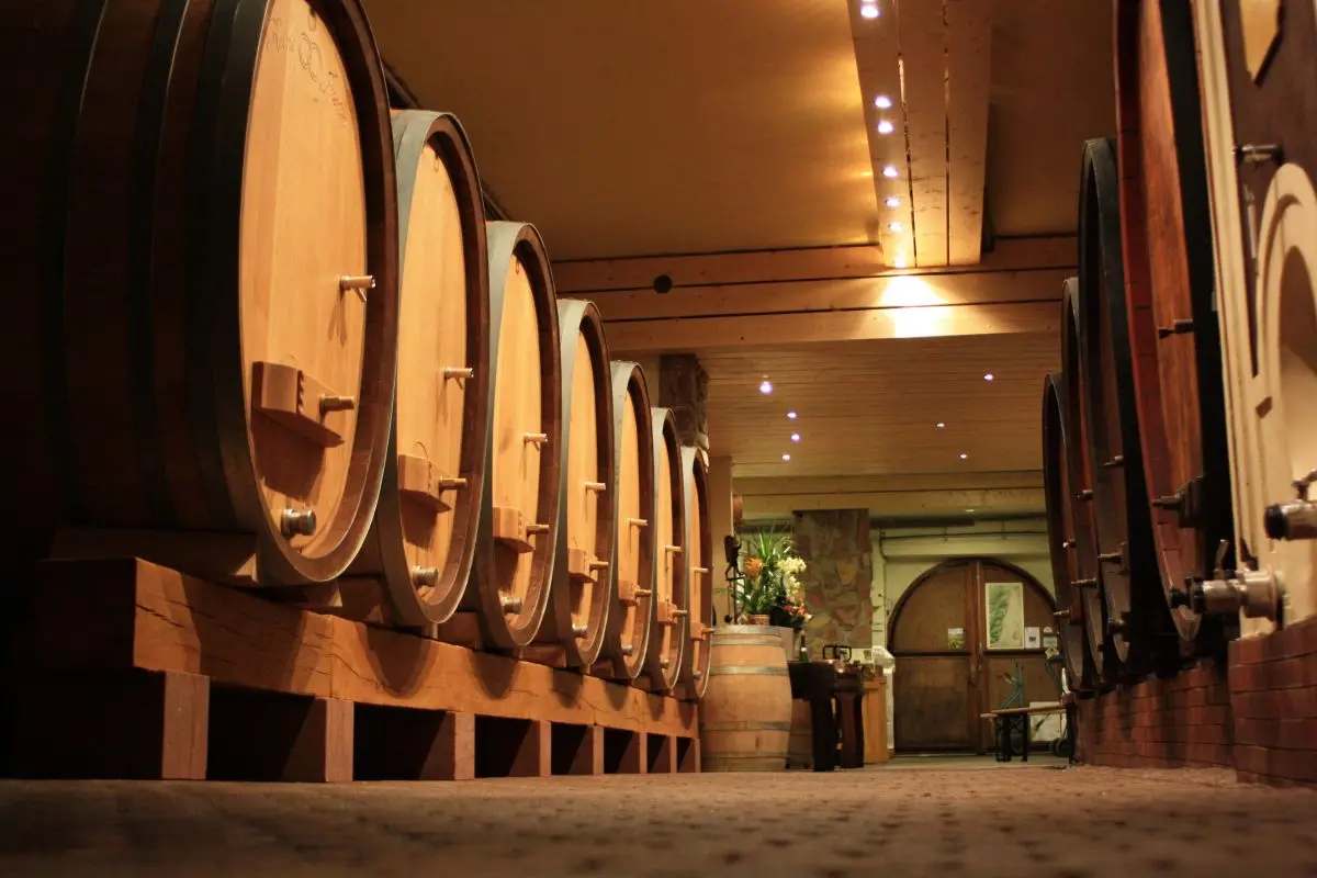 Cave Stoecklé - Vins d'Alsace