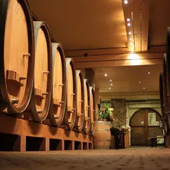 Cave Stoecklé - Vins d'Alsace