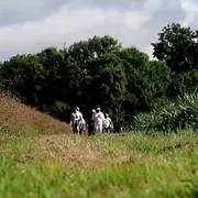 La rando des bois – Sur les traces de Saint-Ronan
