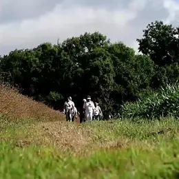 La rando des bois – Sur les traces de Saint-Ronan
