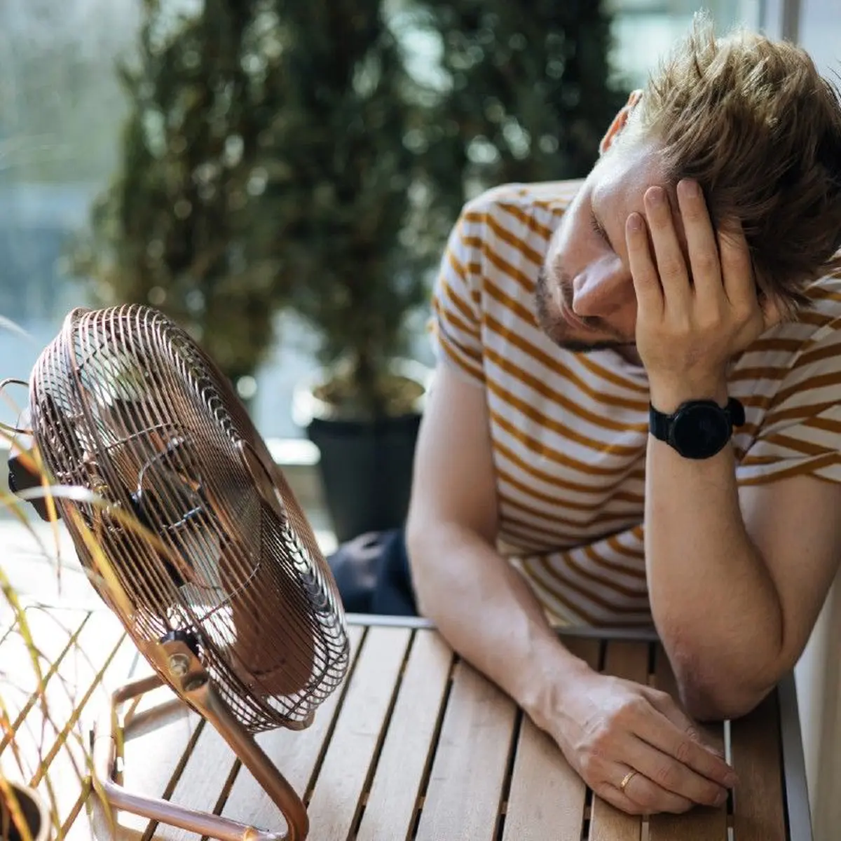Se sentir au frais pendant les vagues de chaleur