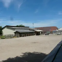 Centre équestre Les Cécoignels