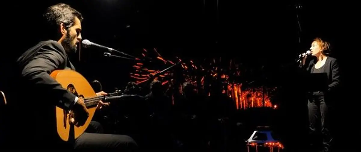 La symphonie des Chauves-Souris - Mycélium