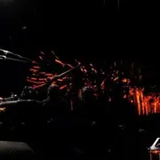 La symphonie des Chauves-Souris - Mycélium