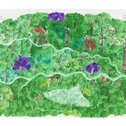 Perspectives – nouveaux points de vue au musée