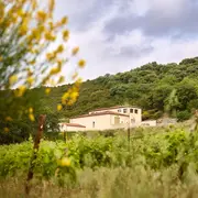 Le Domaine Virgile Joly  Ouvre ses Portes 